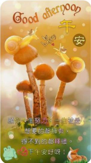 181EB1F8-36E3-47F4-9E09-DAC3859B520C-59843-00001282C02E3973