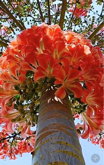 18465750-6602-4657-86E9-C632C07AA6A7-35404-0000038D109A063E