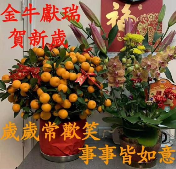 18907D0A-03CE-4E5D-ADB3-CC5BF1EA2371-23269-000004FACA9D9CED
