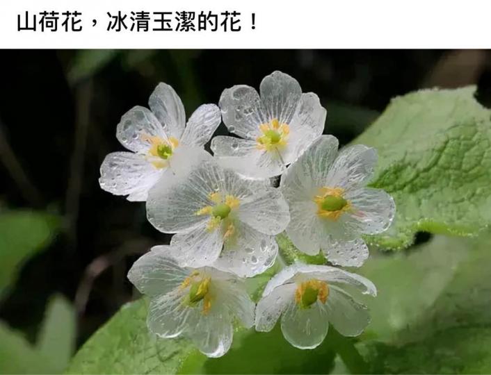19DC704B-D641-4535-B0C8-6A61C0EA84D0-50572-000010BC8D558B96