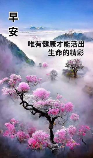 1A522480-0ABF-47A8-ACB2-695C938B5626-30376-00000367373FEE1F