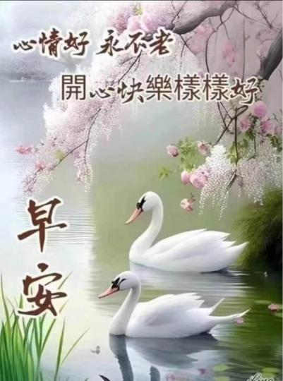1AFD7EED-7C14-4AC2-AA7B-6CD751DC08B2-98839-00000A8EE0339827