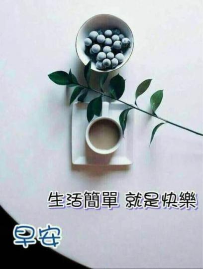 1B205A3E-3247-453A-A69D-9602CB0A8DF0-6954-0000042BDA303DBB