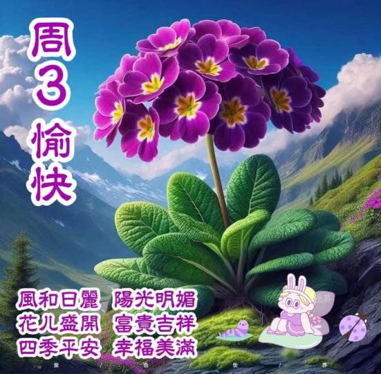 1B2A3884-1B32-46F3-81DA-DE830F4B29EB-53964-000005BB0D4A99FC
