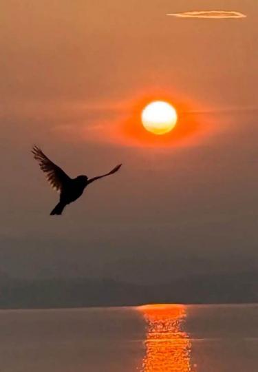 1B9BA736-2DD8-4F72-B023-75AD2FBF7686-4598-00000070E33E41B1