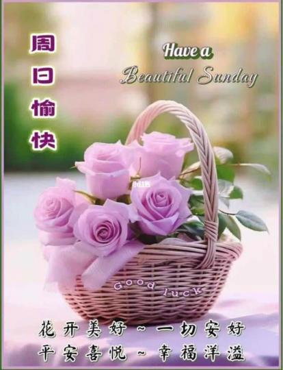 1BE66848-840F-4F8A-A282-30996AFCEB16-33467-000002FD330E92D5