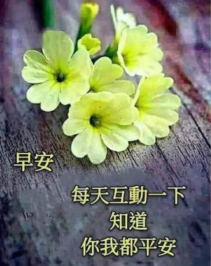 1C063B6D-D588-4A46-B34A-5BA3548DE6BE-23191-0000028EB4DB8697