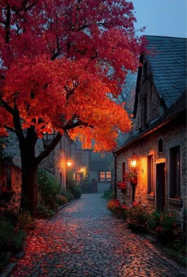 1C50D2FC-BDFB-436A-A72E-62587FC960B7-6891-00001723787EE389