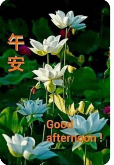 1C78DCC8-69C7-4F3C-8A36-42F31EB54B16-76497-0000084167A9982C