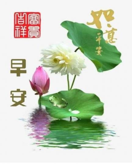 1C86948B-CD0F-4DBD-AE6F-479396A7659F-1656-000000C2C1DCCFA6
