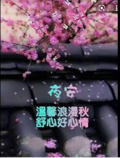 1CA0D0DC-0688-41A0-8523-8AAFC2B2511E-3187-00000C1DA780098E