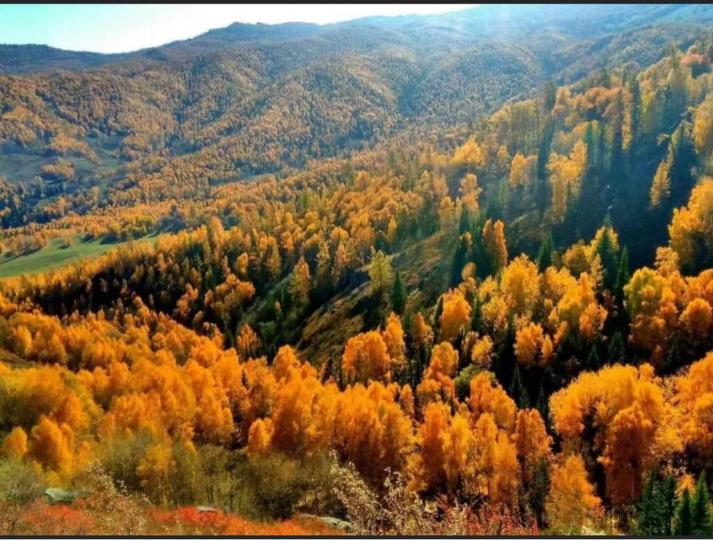 1CA6A5F8-8467-42B8-9594-30DAF058E4BD-3848-00000067707FD4D6