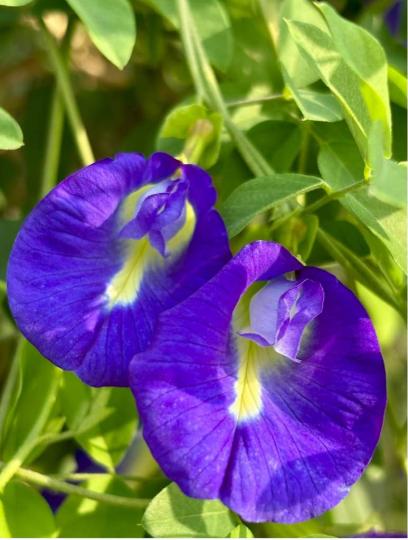 1EA76B14-8B60-4407-9D2A-58796ADDFA76-84258-000006C89BAC0A6A