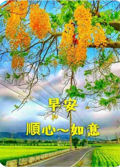 1F28D9A3-3C9C-411C-A1BA-A8A72C94EF1E-2391-0000011BCF9F4E85