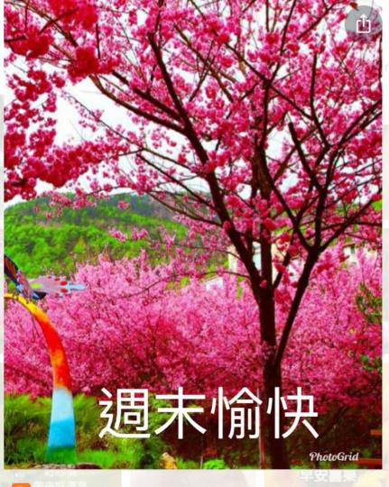 201604CB-1256-44C4-ADD0-B3BF4738500F-38397-00000F6BB0236AEA