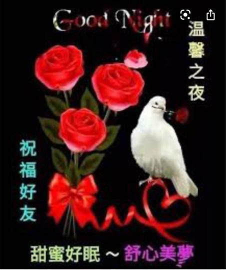 20715152-6808-40A2-B416-DC2C6E0AD287-1831-000000CB03115669