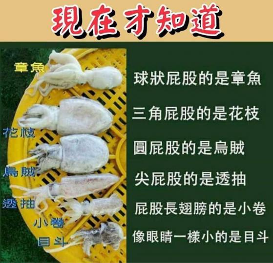 20791E29-5B9D-47E2-A2F6-CEF87D14E6FC-18558-000002160C2F01A5