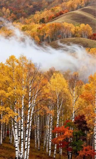 21311F3E-2286-46C2-A8BA-F80CD1128CBA-65646-000005B4649AB8E7