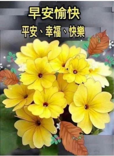 217DA272-37CC-4515-97E0-94D3549A5A51-5151-000002FDE3D721F4