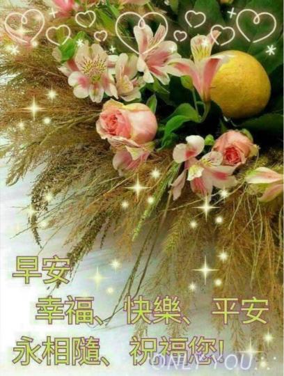 21C7A145-3CDE-4A73-B3A3-CCA819FA7E58-68747-000007D238A33FC3
