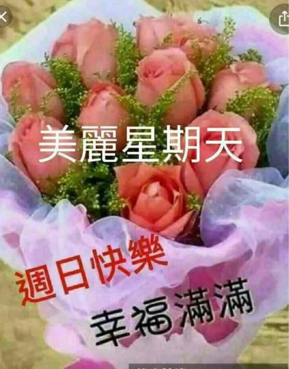 22772E0A-DCB2-4DF7-A541-26D72C0A7586-42121-00000FD9DF3EB86C