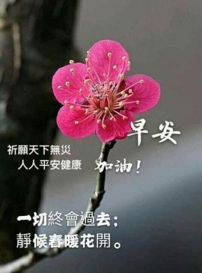 23FA1382-AC21-439D-B2FE-91DAC2C54714-1470-00000B09F6937C79