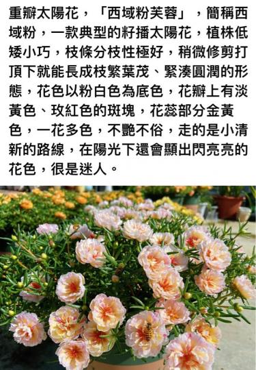 246E1D84-519D-4FA8-AFA4-A7743EAFC746-42629-00000FE6A4667BC9