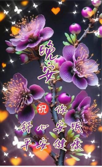 249C9A6E-114D-46B5-BE1D-181D478781B1-11716-0000012DA5563DDE