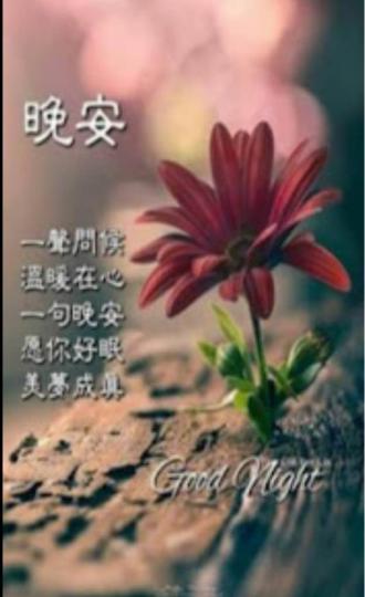 24B81E5B-4FCE-4F70-BE55-FB29467AFA89-59804-000006B47C2114C6