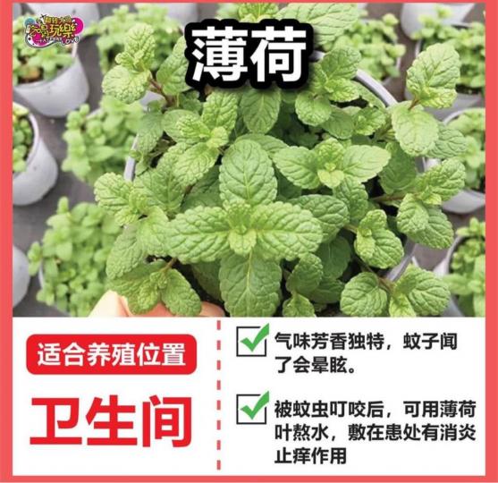 272317F7-D773-40AB-8F18-ECF6FD4DF971-61627-00000745F0A4916D