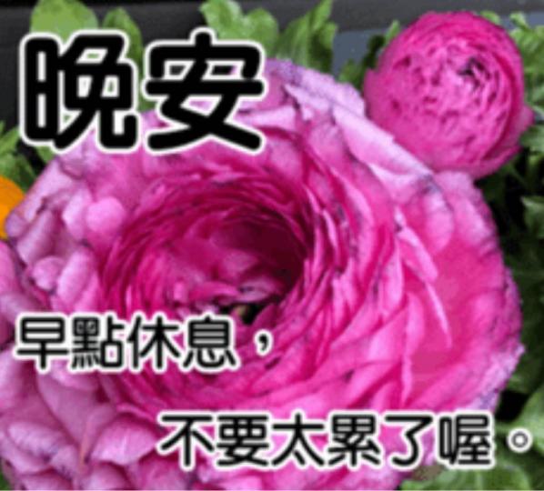 273441EE-8F26-4281-AC39-0A1382CF81AD-1671-0000011C60165C88