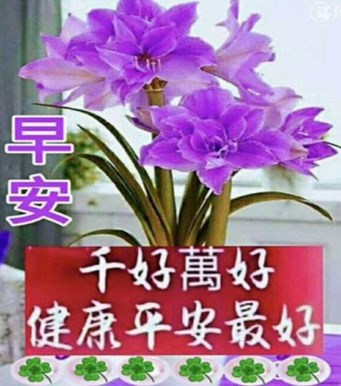 275DCB43-BDD1-4A58-A624-92951C7215E7-46835-00001065568C3E52