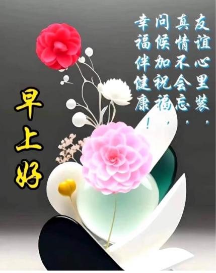 28240A3B-AE8B-4055-A318-A30C2441E012-48661-0000053159000953