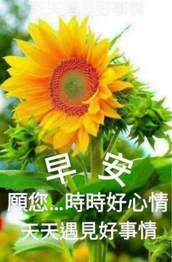 28CA9A94-FF3A-4103-A238-0751541BF887-29978-0000033A8F12F829