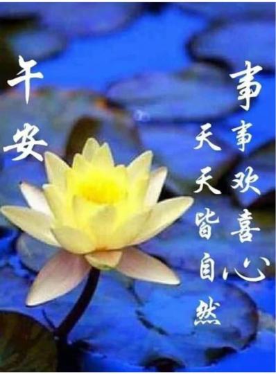 295A0A9C-908A-4A1D-9ED4-7613460F4458-30179-00000347C2A82684