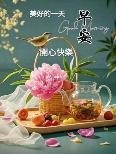 29D40FB7-1823-4869-A625-B11522BFAC0D-98534-000016DAE36F2E92