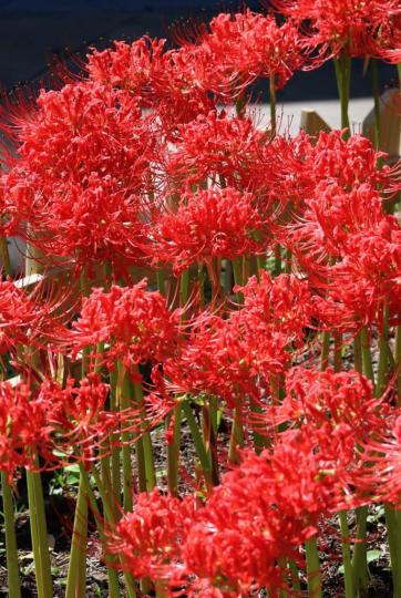 2A199F60-8A7E-41DB-ADCD-94BDC43B1BEF-94354-0000077B3712F561