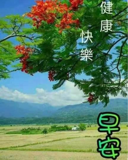 2A4EDD37-BF20-4B29-91E5-D6996244C5A0-10612-0000012ECC240BFB