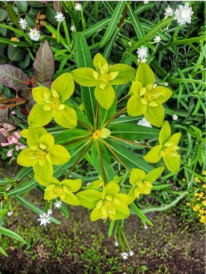 2AB1D058-4AD8-4530-ABDF-CEA74B057932-34553-00001A21AA61B055