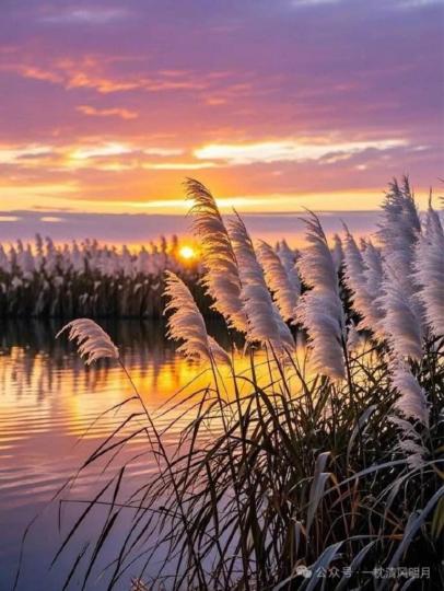 2B7F73C2-4061-42EC-8DF7-EA5AD29D550A-26863-0000197CF9B743C3