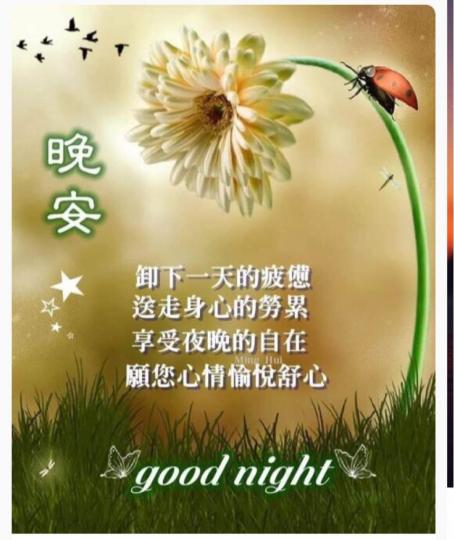 2C69D99E-9695-43DE-A90E-EE15851E6EA2-24504-000002A70DA37255