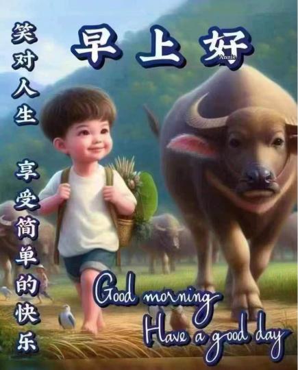 2CCD834D-A0E4-4B68-B75D-A8FF7F3FB8A8-23974-000003CD1147D96E