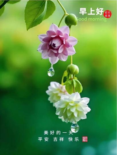 2CD28D24-EC61-4EE6-9AC6-471D5FD3FE90-38299-000003A0836CC8E9