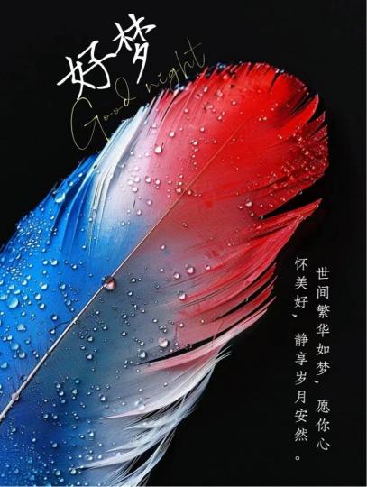 2CD75DAA-6ED0-4855-BA74-3CE9E9D315DC-80593-00000BD1D19001F4