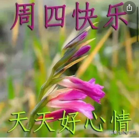 2D8BEFC1-3A9F-47BC-B7F6-734286FA6A3A-31116-00000E9C8E2D839C