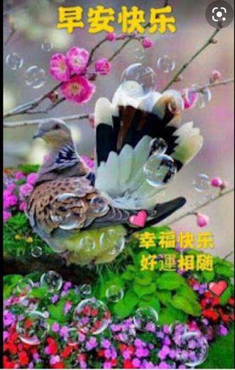 2DB20A37-5F92-4627-BFC3-085600B76062-9633-0000025D5AE6DAD8