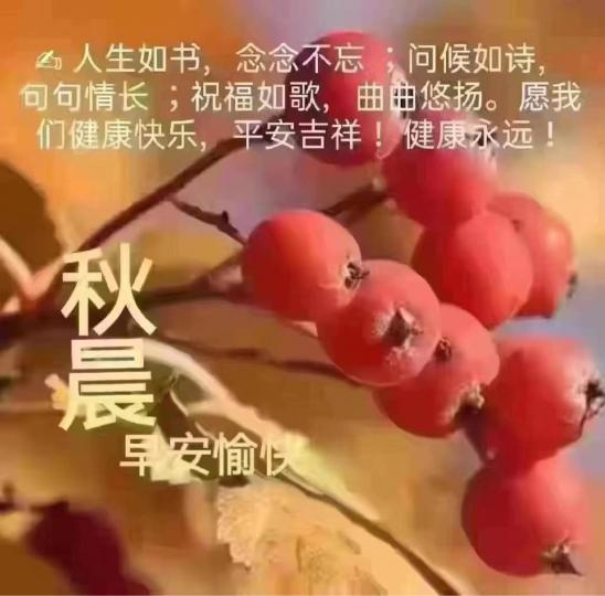 2F07C856-3740-487A-9ABD-68FAE4547F44-50870-00001073C1D6C22E