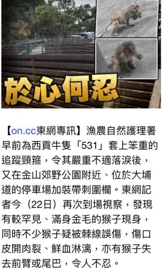 2FB4F24D-E42A-4E00-BB4D-724834C8091C-1656-000000C425CA3C5F
