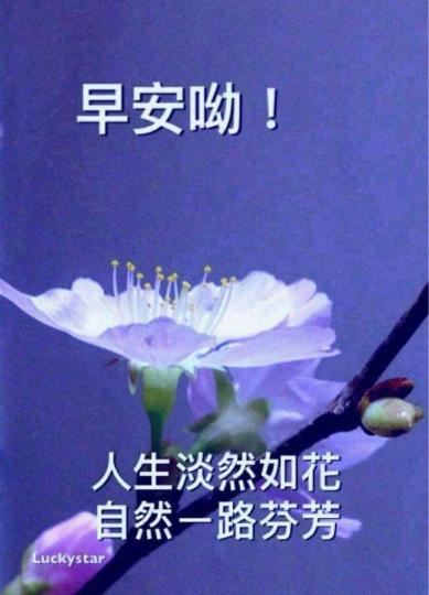 3075C7B1-F6A2-4427-A980-78BDDBA8D8B1-17493-000003AD60C3ABF8