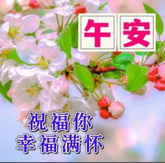 308FF631-C1FD-42C8-8009-72CEE6633E55-95405-00000A6B1CA7151D